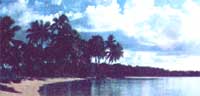 
A beautiful day out on the ocean near shore.
